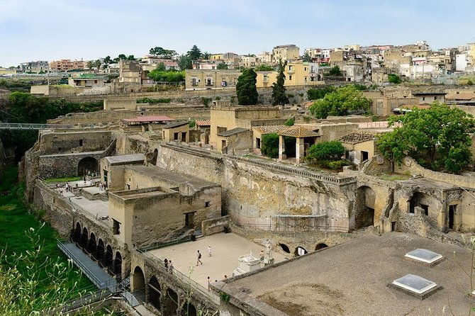 visit-herculaneum-with-an-expert-professional-guide-2-3-hours