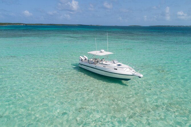 visit-the-ocean-swings-full-day-harbour-island-private-boat-tour