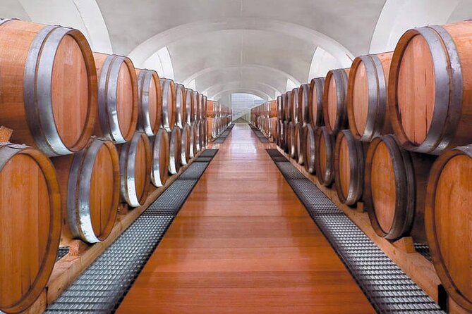 visit-to-the-cellar-at-the-feudi-di-san-gregorio-from-sorrento