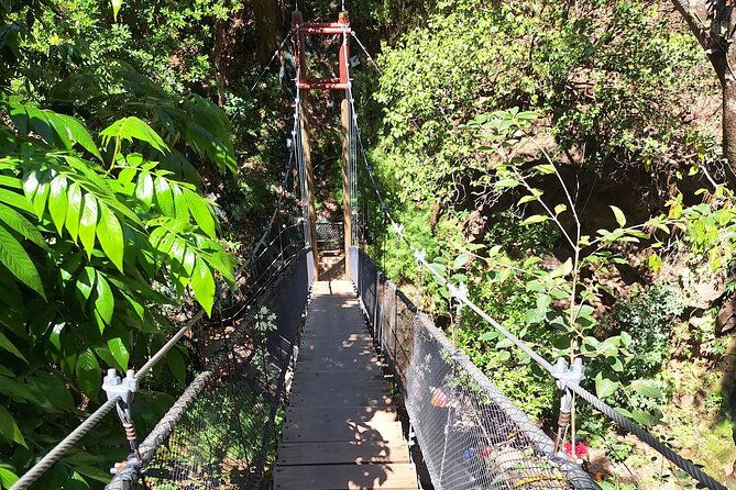 volcano-hike-oropendola-waterfall-hot-springs-experience