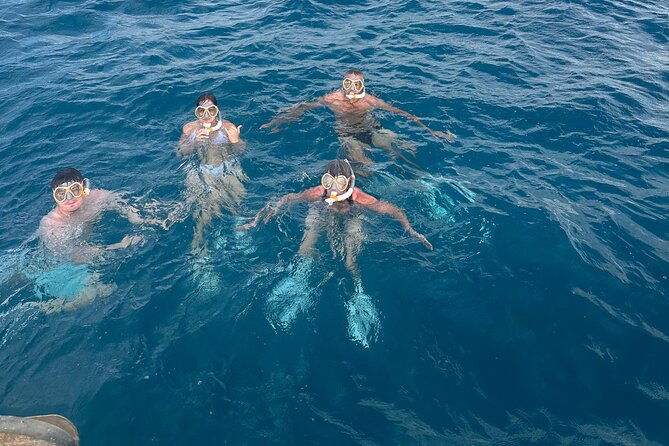 waikiki-small-group-turtle-snorkeling-sailing