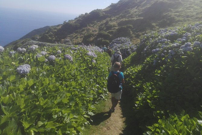 walking-trail-tour-faja-caldeira-santo-cristo