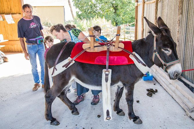 walks-and-hikes-with-donkeys