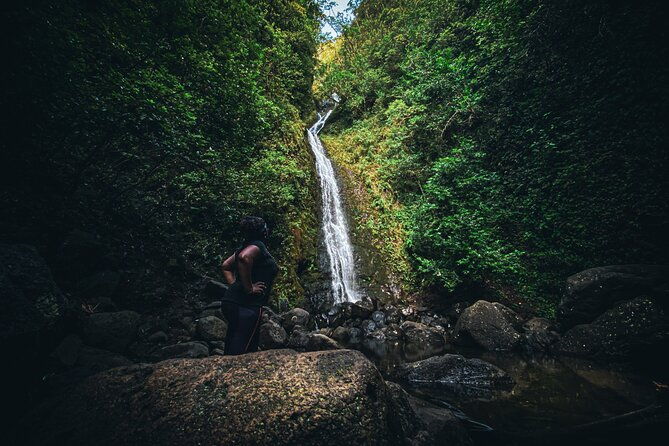 waterfall-hike-in-hawaii-rainforest-trail