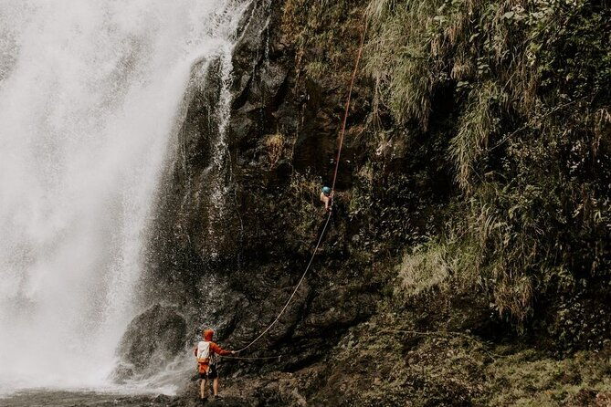 waterfall-rappelling-at-kulaniapia-falls-120-foot-drop-15-minutes-from-hilo