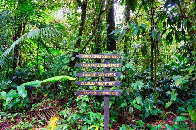 waterfall-sloth-expedition-frogs-blue-river-also-in-costa-rica-and-nicaragua