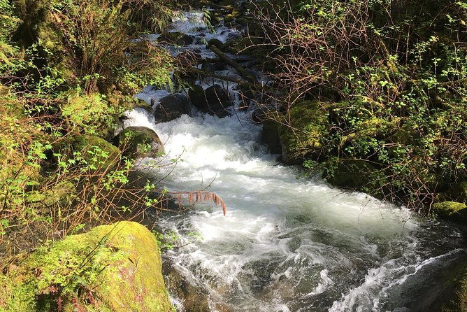 waterfall-wonderland-hike-with-transport