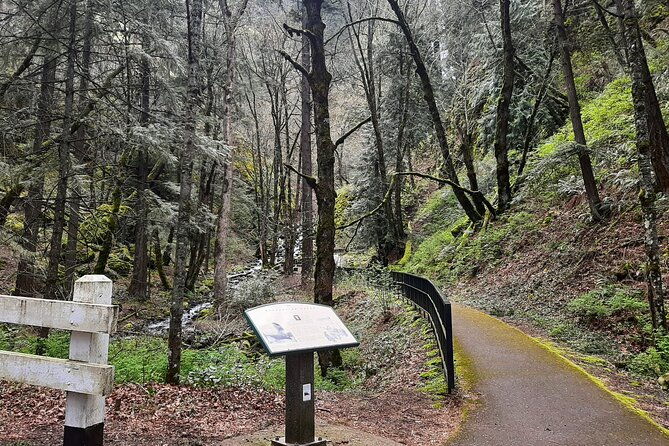 waterfalls-and-wine-plus-mt-hoods-timberline-tour