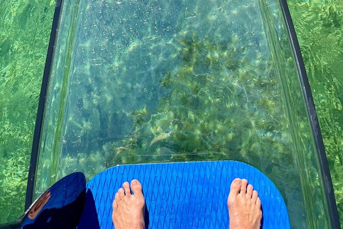weeki-wachee-clear-paddle-board-ecotours
