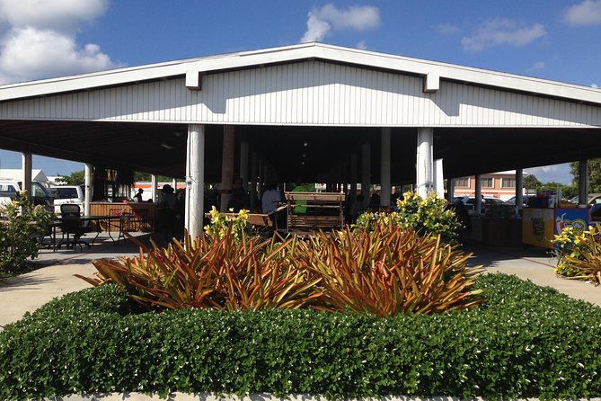 west-bay-sightseeing-tour-plus-seven-mile-beach-visit