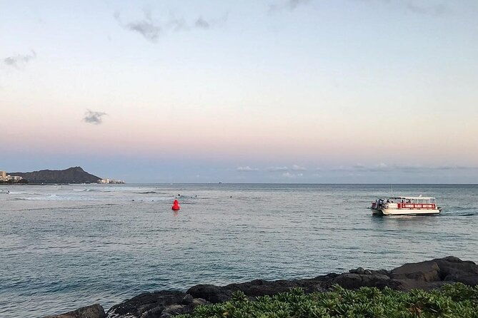 whale-watch-dolphins-turtles-and-sightseeing-cruise