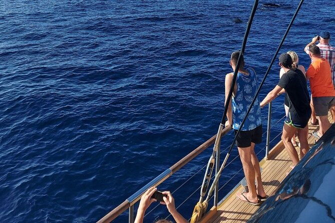 whale-watching-catamaran-to-los-gigantes-masca-including-drinks-warm-lunch-2