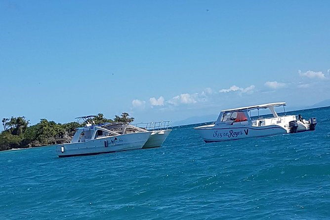 whale-watching-in-samana
