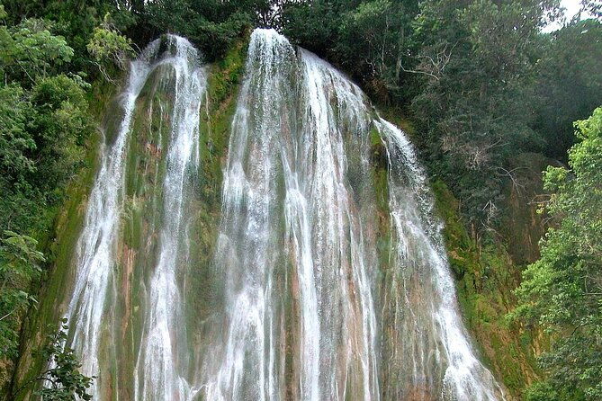 whale-watching-limon-waterfall-day-trip