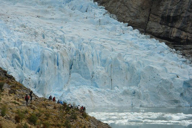 whales-penguins-glaciers-navigation-from-punta-arenas
