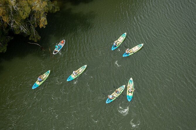 wildlife-refuge-bio-comb-jelly-sunset-kayak-or-paddleboard-tour
