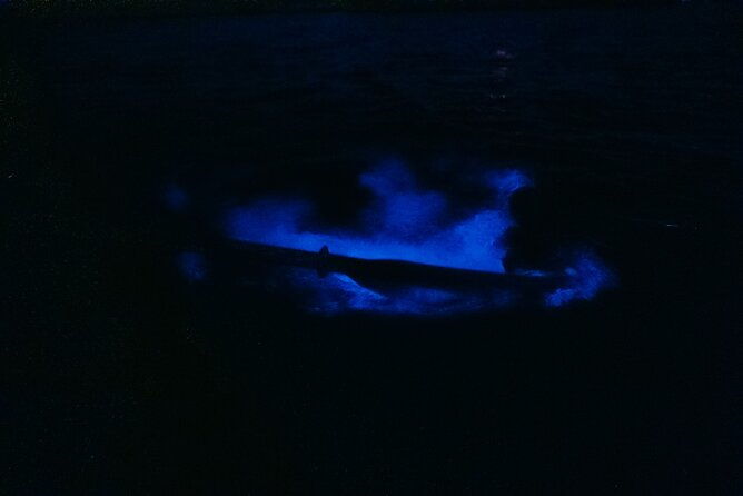wildlife-refuge-bioluminescent-kayak-or-paddleboard-tour