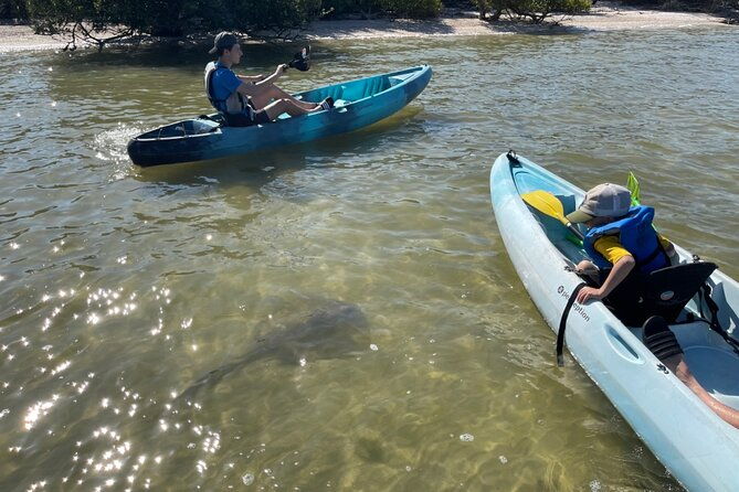 wildlife-refuge-dolphin-manatee-mangrove-kayak-or-paddleboarding-tour