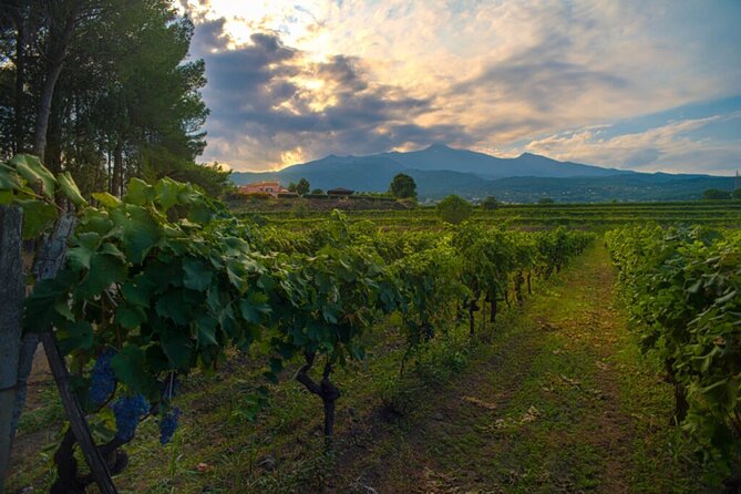 wine-and-lunch-tour