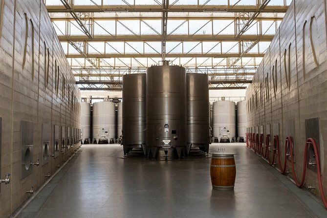 wine-and-pisco-tasting-experience-by-caravedo-and-tacama-in-ica