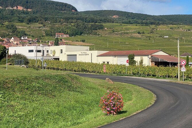 wine-cellar-visit-tasting-of-organic-alsace-wines