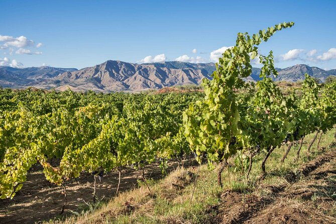 wine-food-tasting-on-etnas-winery-private-tour
