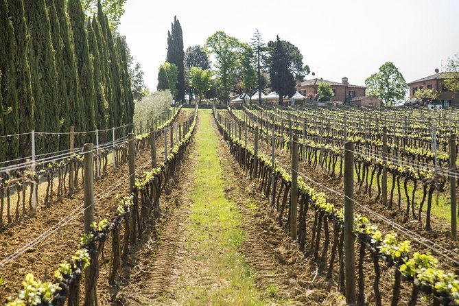 wine-tasting-and-horseback-riding-in-montepulciano-in-tuscany-from-rome