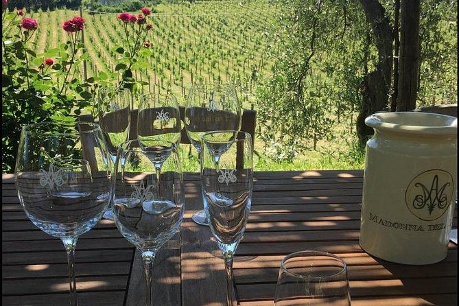 wine-tasting-and-winery-tour