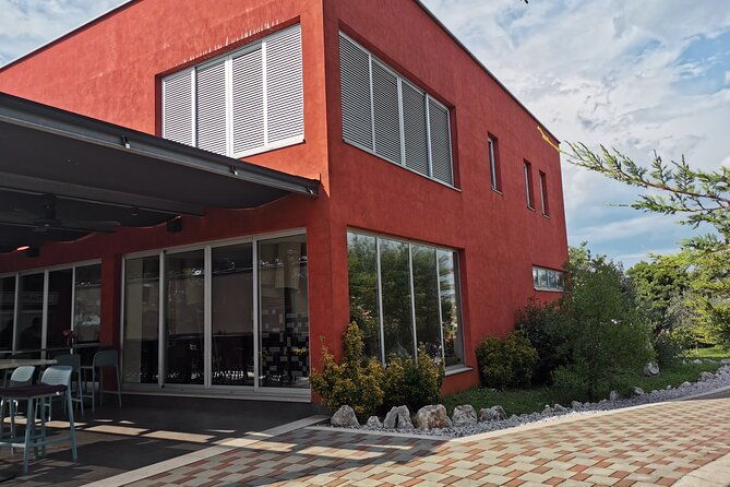 wine-tasting-experience-at-the-organic-winery-in-sisan