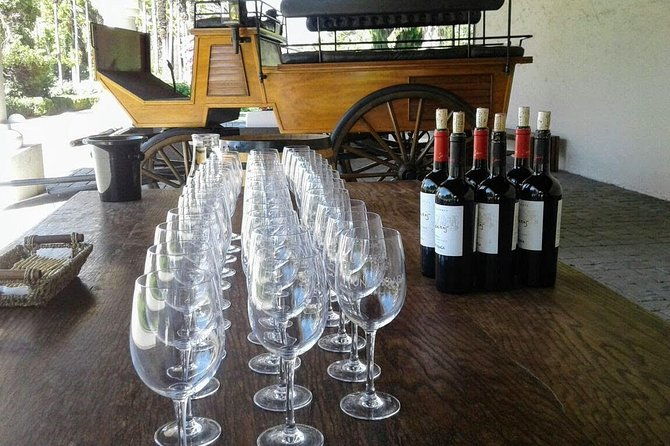 wine-tour-and-santiago-city-in-a-small-group