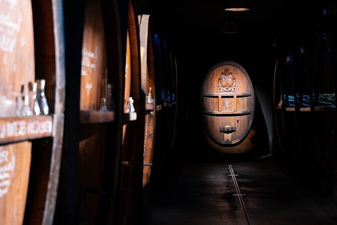 wine-tour-tasting-and-alsatian-meal-100-immersive-experience