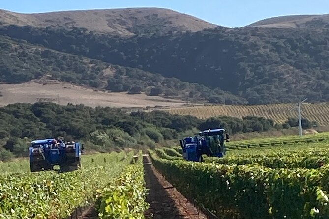wine-tours-of-the-santa-ynez-valley