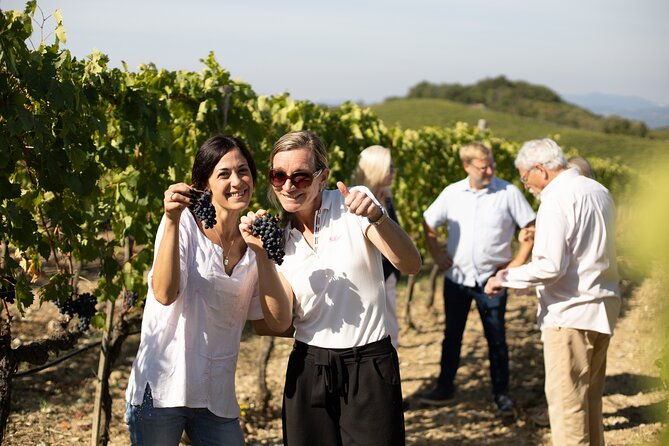 winery-tour-gourmet-tasting-in-montalcino