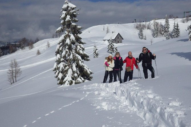 winter-fairytale-triglav-national-park-half-day-trip