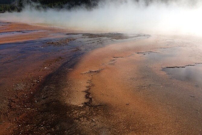 yellowstone-for-kids-all-inclusivefamily-fun-tours-pu-cody-wy