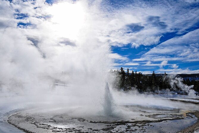 yellowstone-grand-teton-national-parks-private-winter-tour-5-day