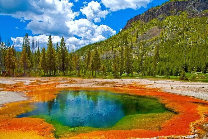 yellowstone-lower-loop-vip-full-day-private-tour-with-lunch-4