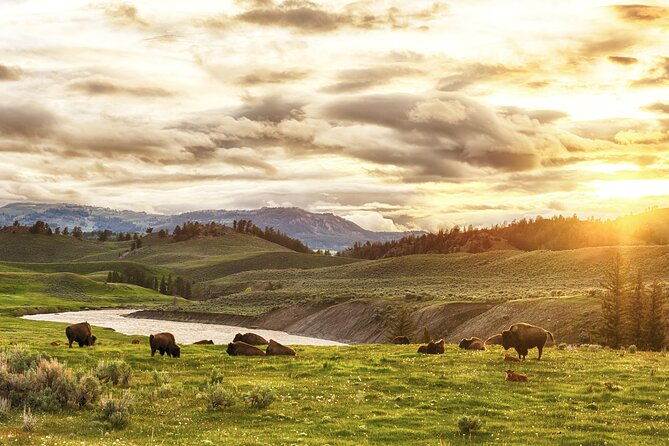 yellowstone-private-full-day-tour