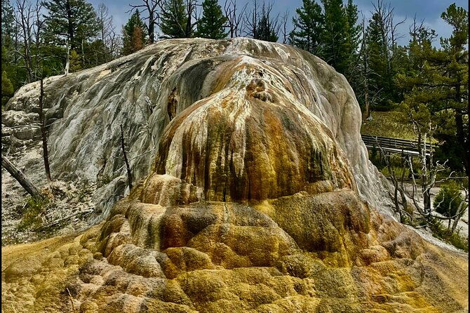 yellowstone-wildlife-and-photo-tours-upper-loop-tour-from-cody-2