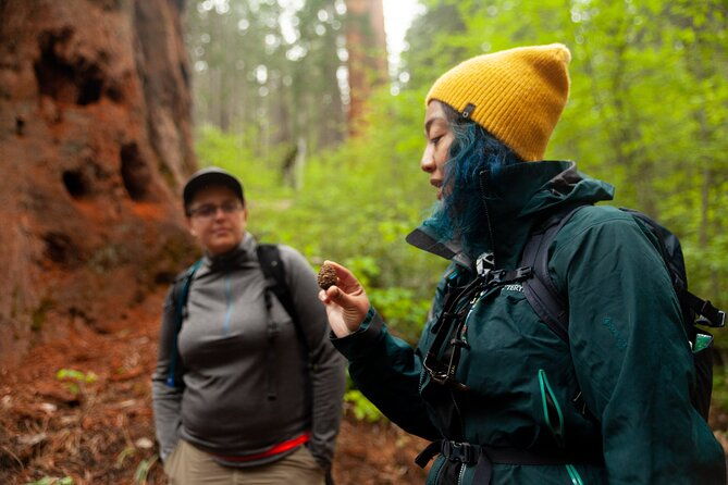 yosemite-full-day-private-tour-and-hike