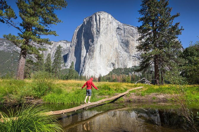 yosemite-national-park-and-giant-sequoias-tour-from-san-jose-2
