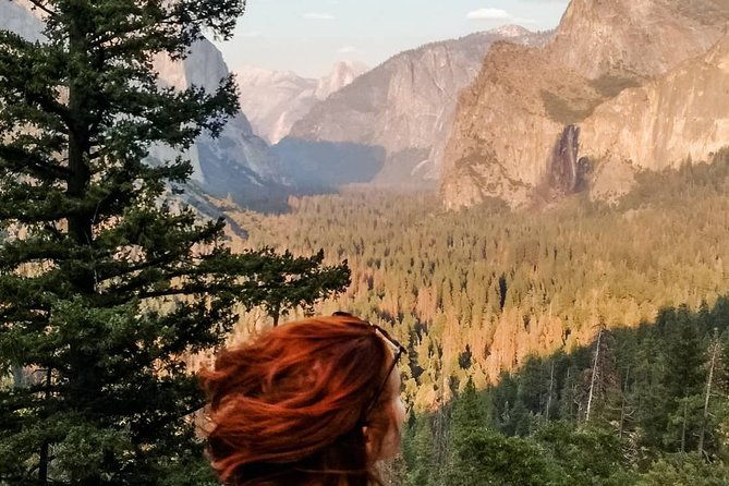 yosemite-national-park-and-giant-sequoias-tour-from-san-jose