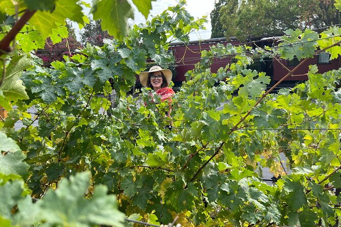 yountville-food-and-wine-tour-in-napa