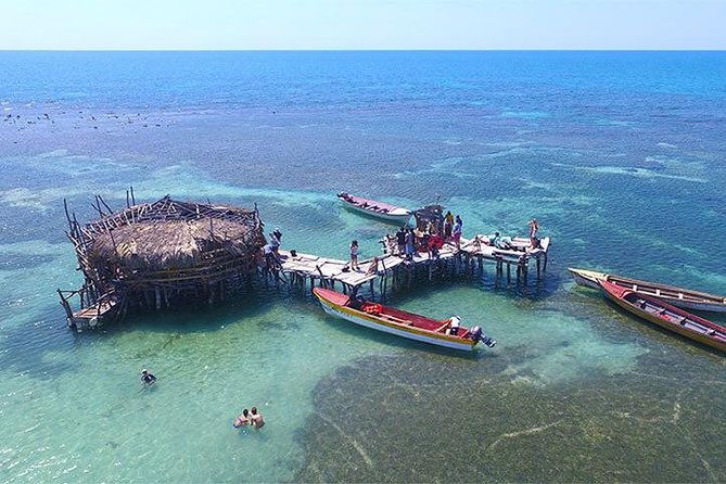 ys-falls-and-the-pelican-bar-adventure-tour-from-negril