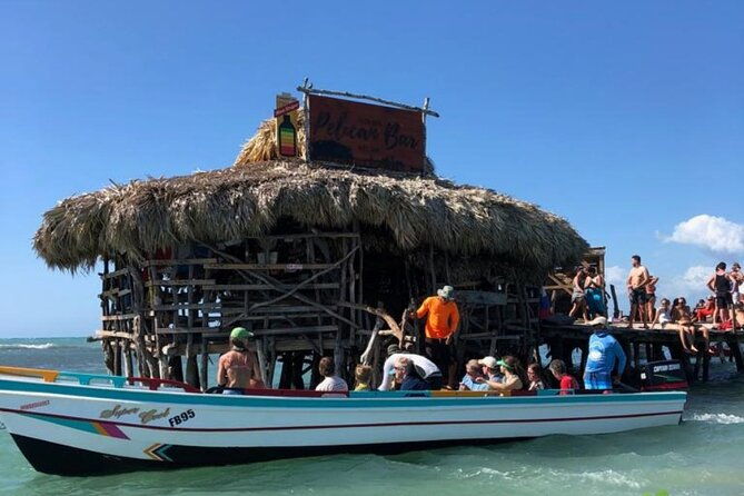 ys-falls-black-river-safari-appleton-rum-tour-or-pelican-bar-choose-up-to-3