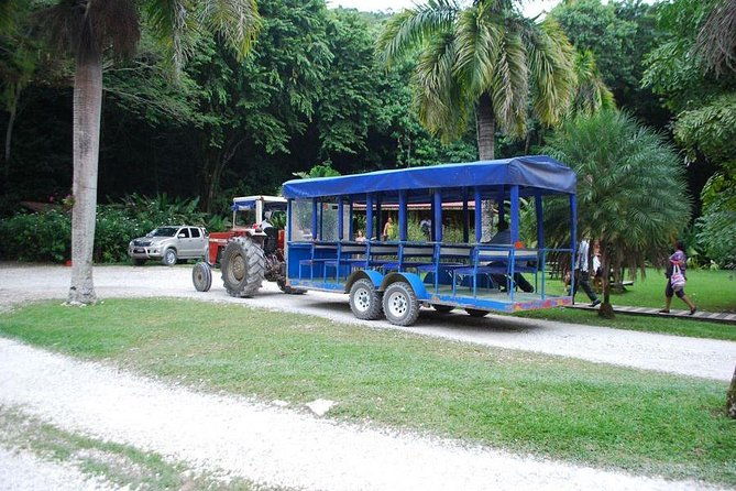 ys-falls-private-tour