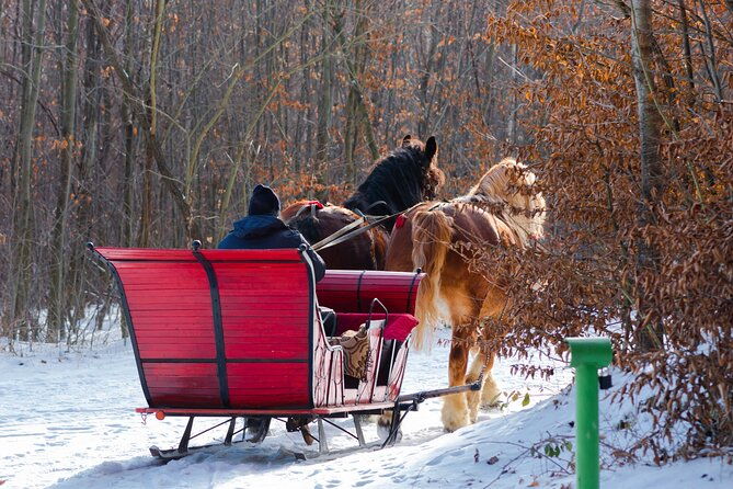 zakopane-horse-drawn-rides-with-local-guide-and-food-tasting