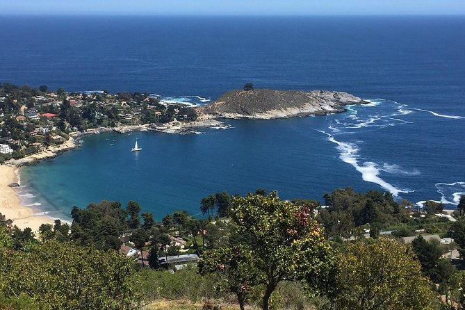 zapallar-walking-bird-watching-penguins-lunch-from-valparaiso