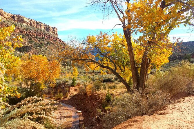 zion-utv-morning-tour