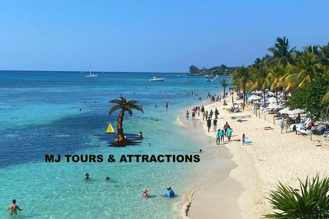zip-line-monkey-and-sloth-sanctuary-west-beach